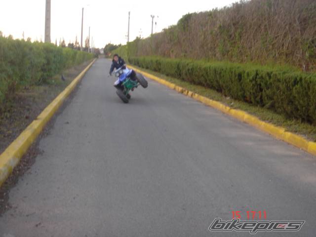 Photo 467638