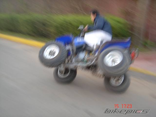 Photo 467639