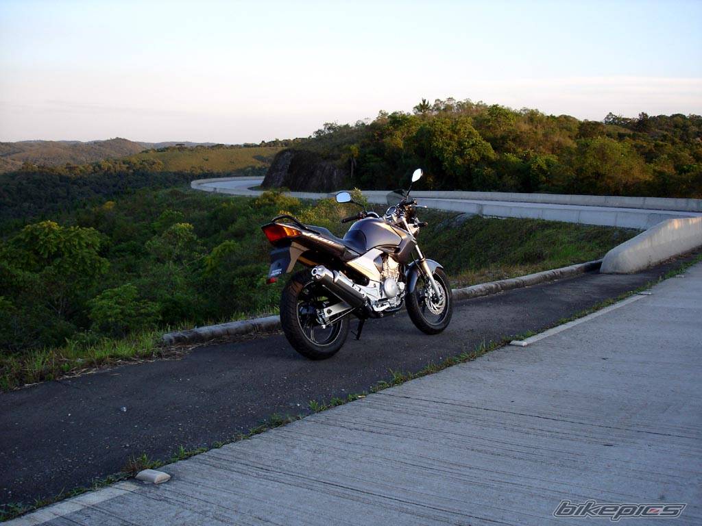 Photo 467658