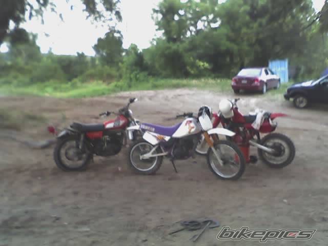 Photo 467679
