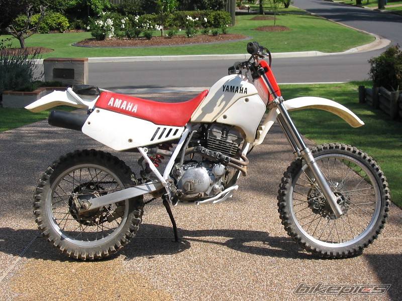 Bike Photo 467731