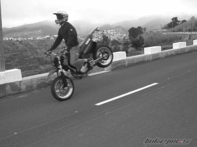 Photo 467835