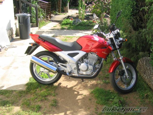 Photo 467973