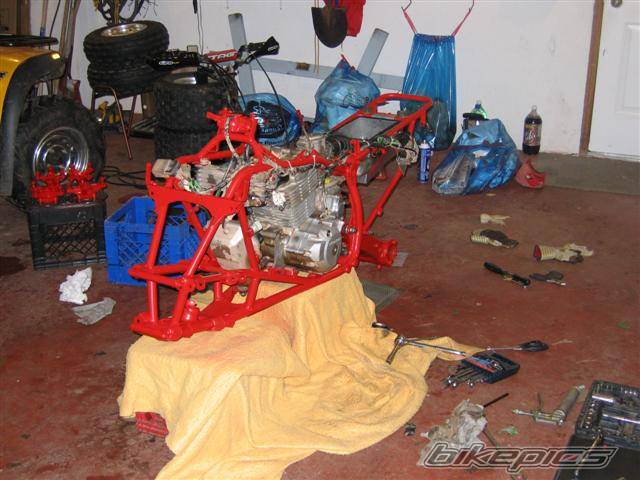 Photo 467985