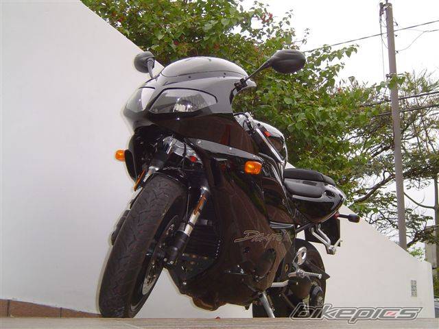 Photo 468025