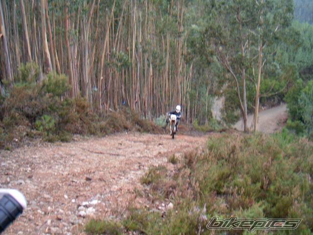 Photo 468138