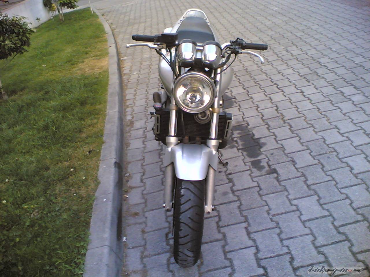Photo 468285