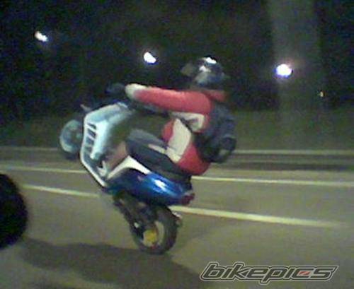 Photo 468379