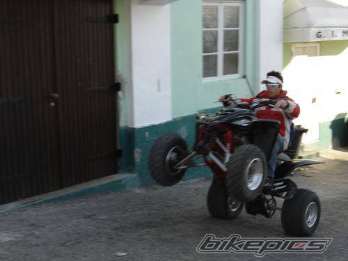 Photo 468381