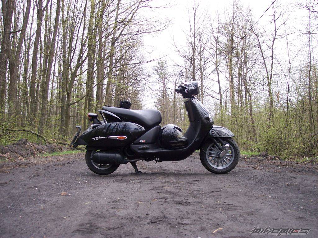 Photo 468423