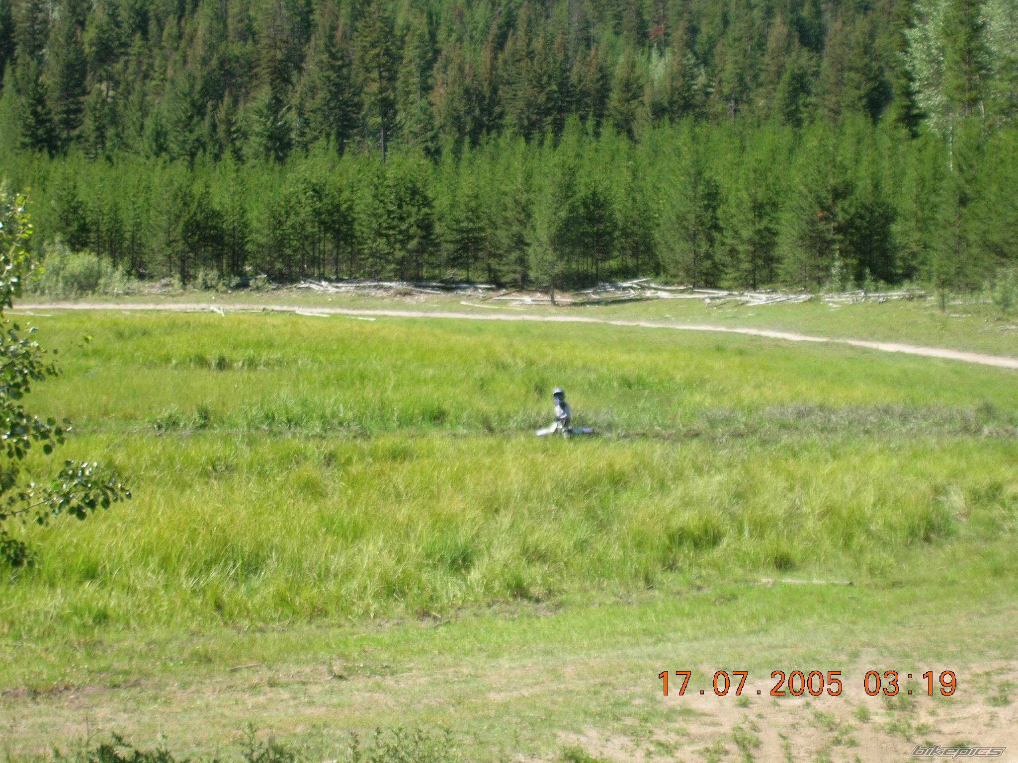 Photo 468497