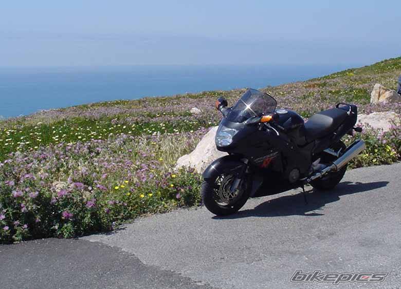 Photo 46851