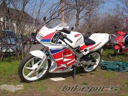 Photo 468676