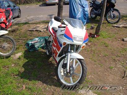 Photo 468677