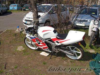 Photo 468681