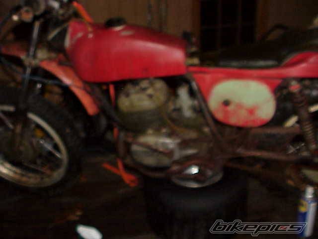 Photo 468786
