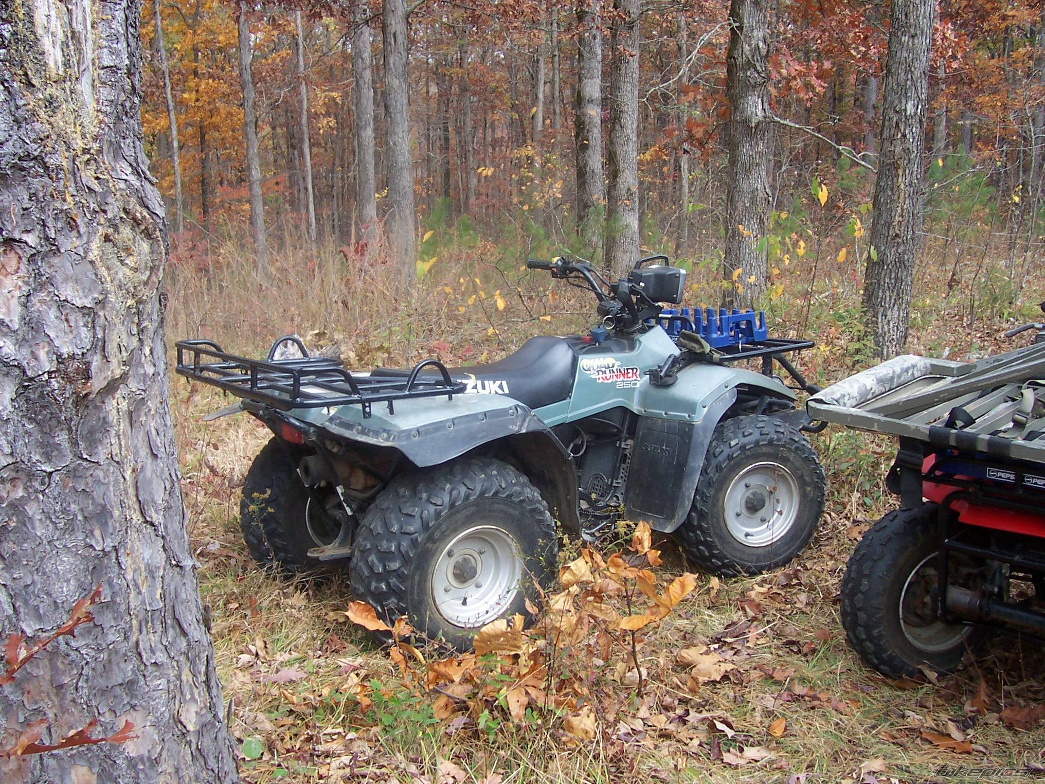 Photo 468792