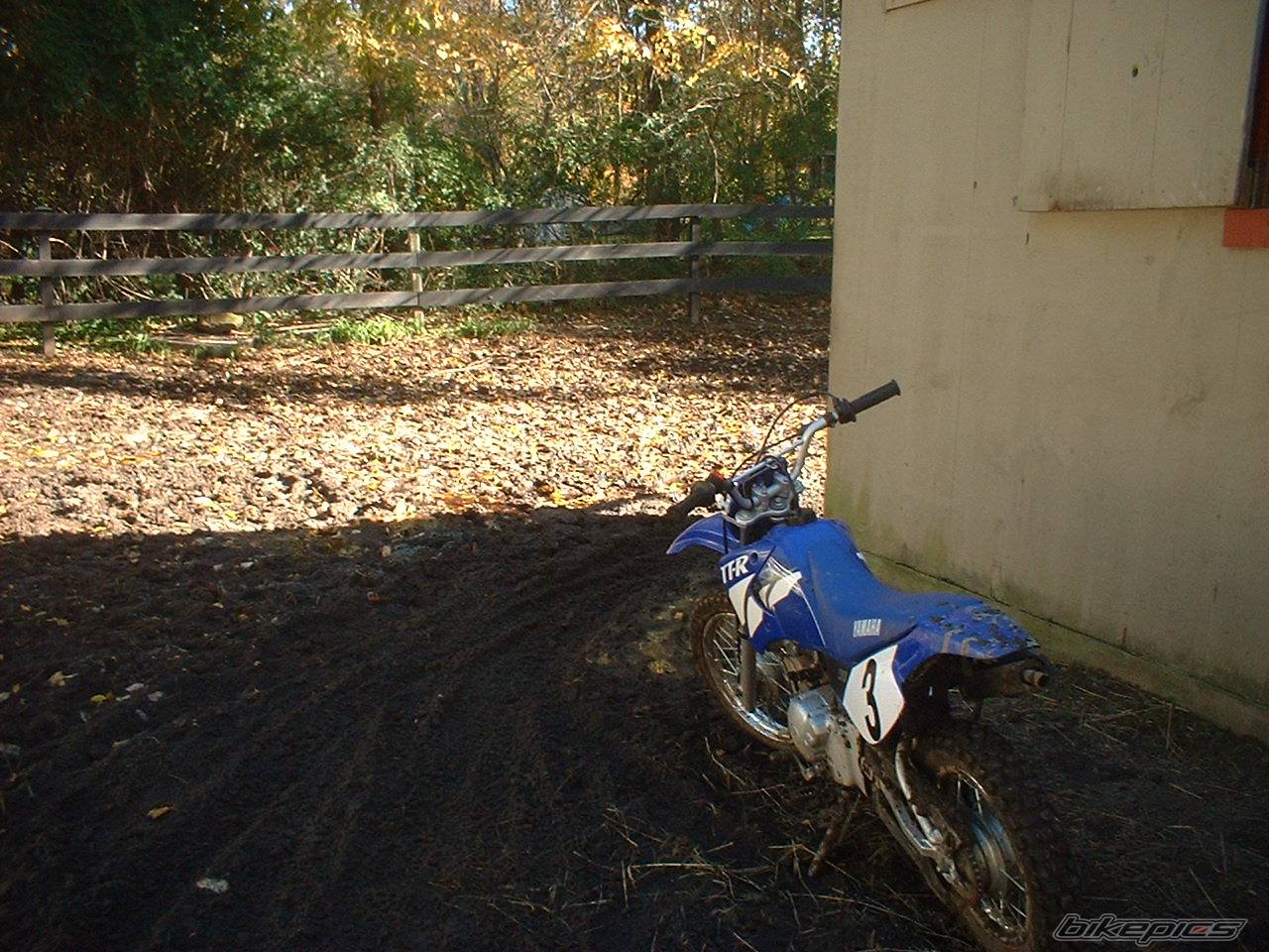 Photo 468802