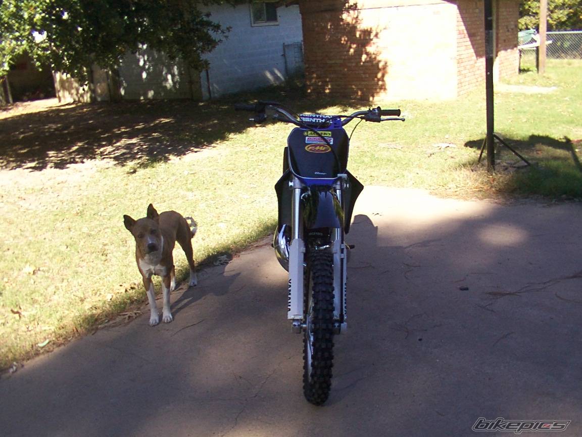 Bike Photo 468826