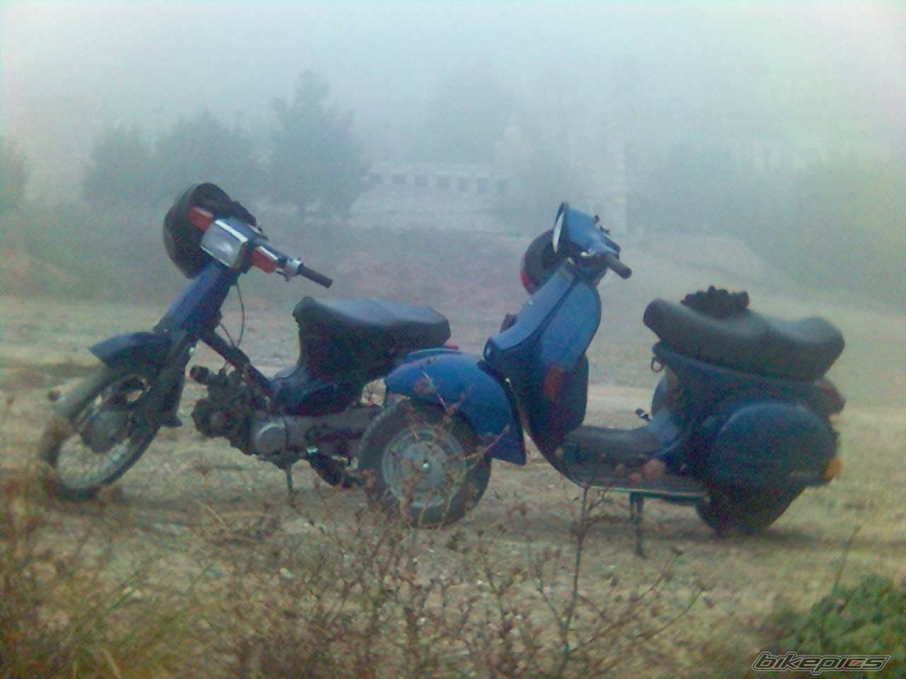 Photo 469112