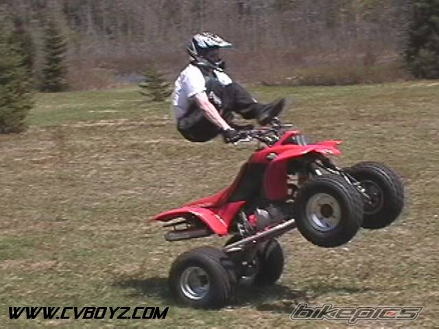Photo 46912