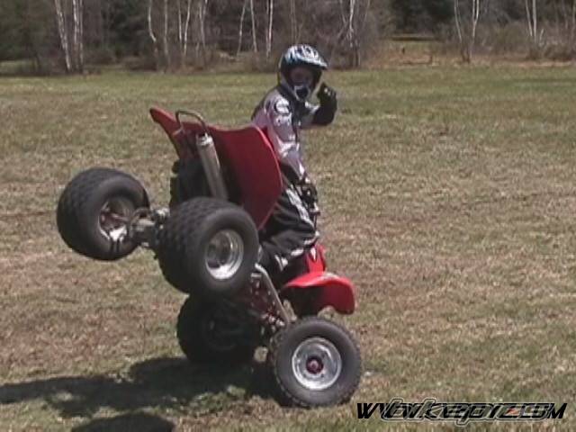 Photo 46913