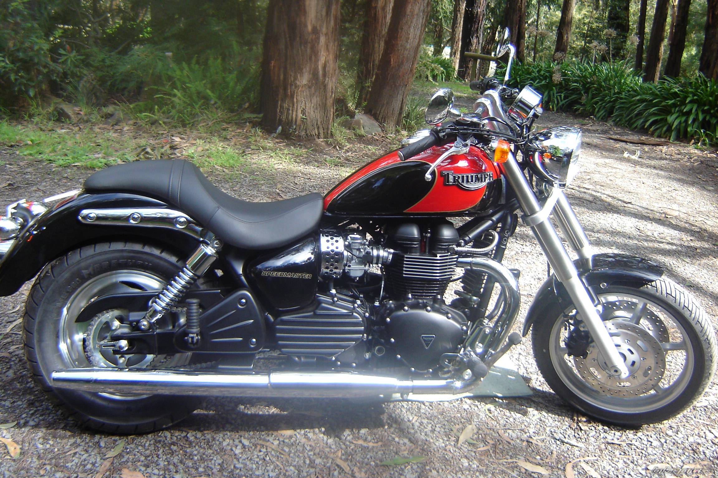 Photo 469245