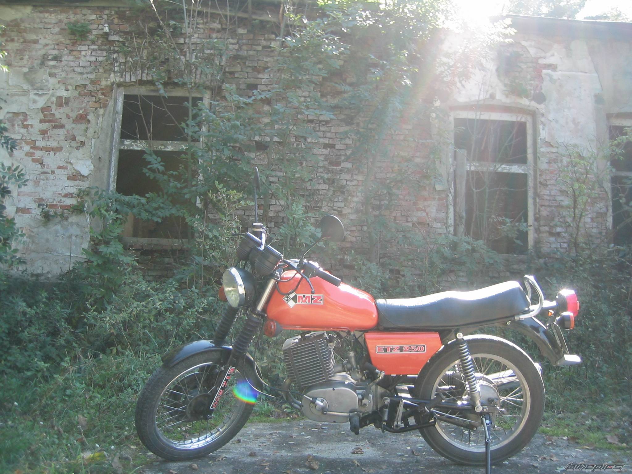 Bike Photo 469259