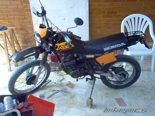 Photo 469262