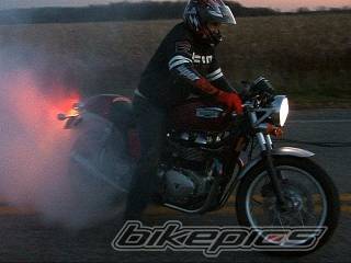 Photo 469266