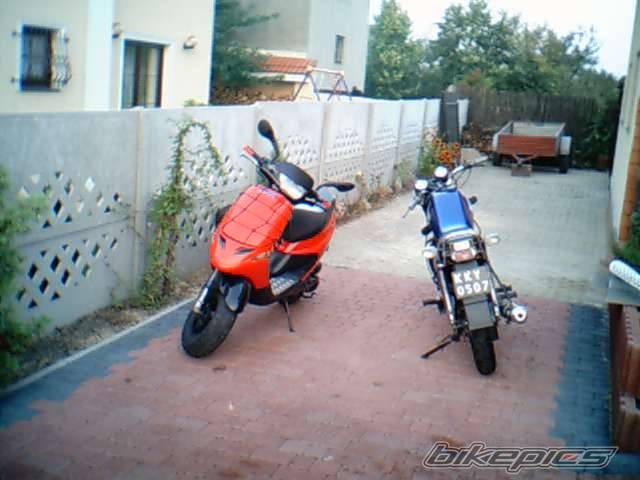 Photo 469270