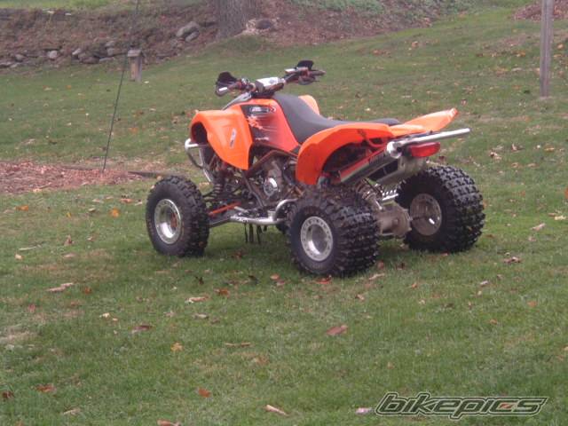 Photo 469271