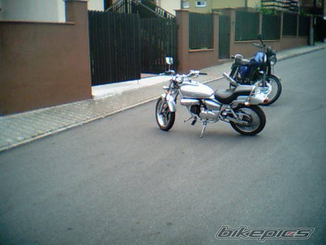 Photo 469290