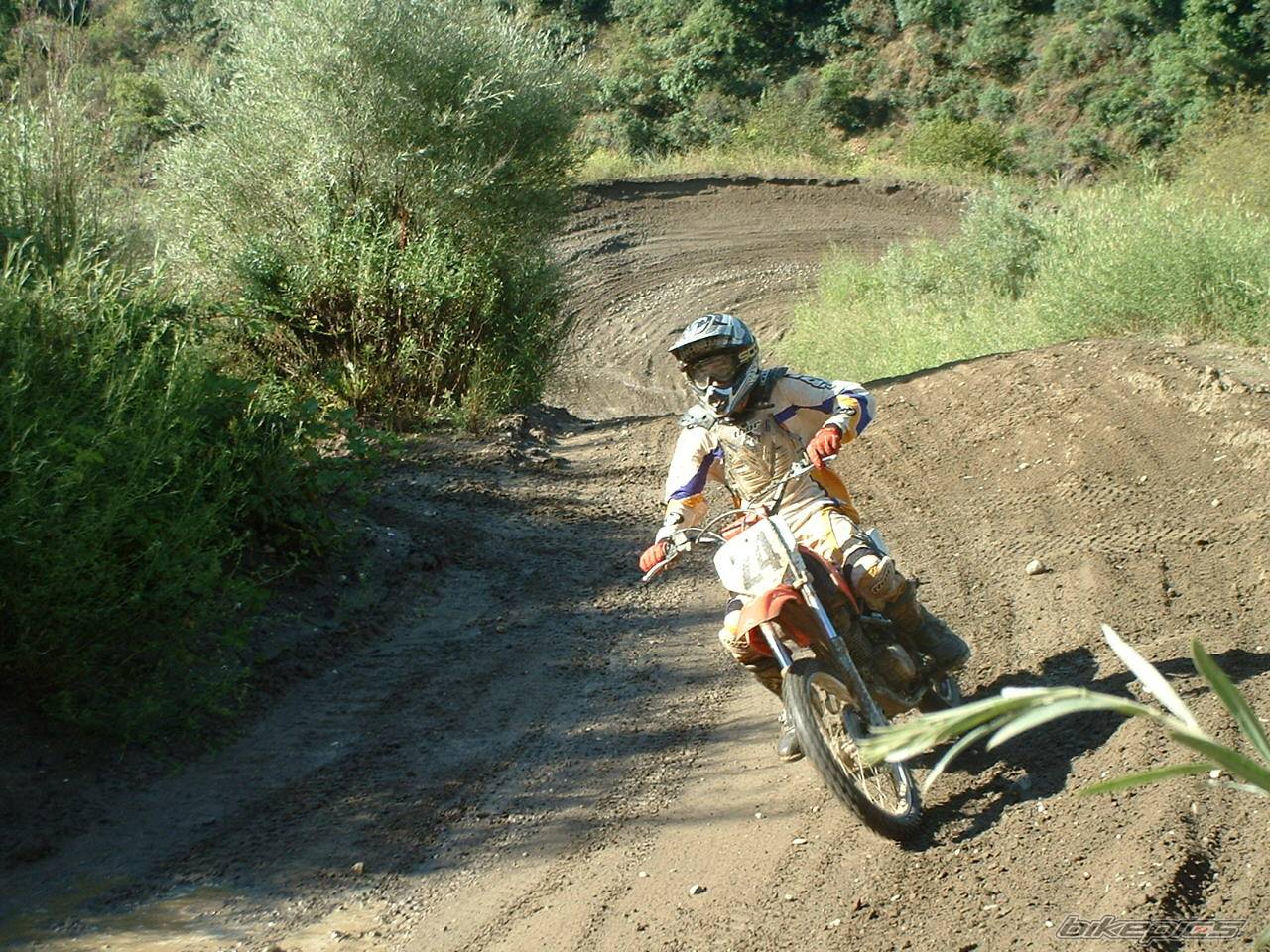 Bike Photo 469322