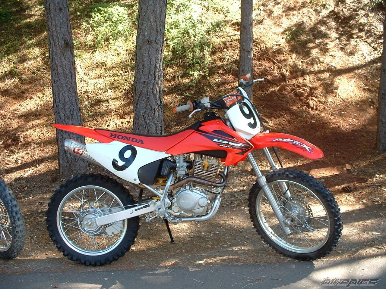 Bike Photo 469323