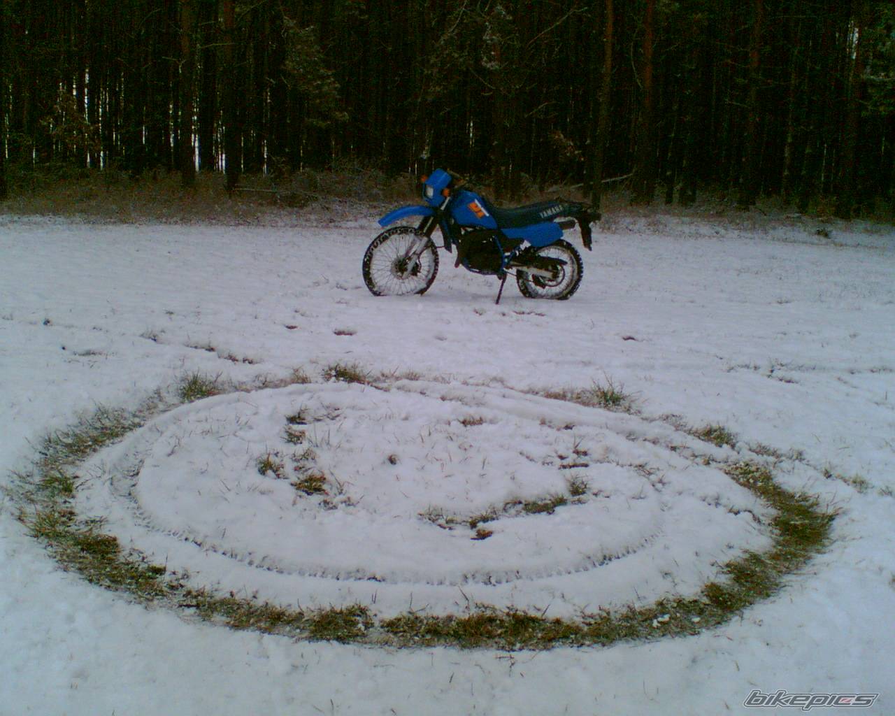 Bike Photo 469400