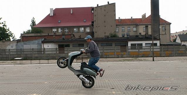 Photo 469404