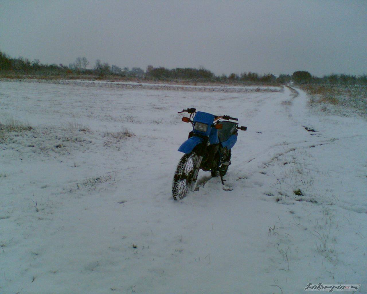 Bike Photo 469407
