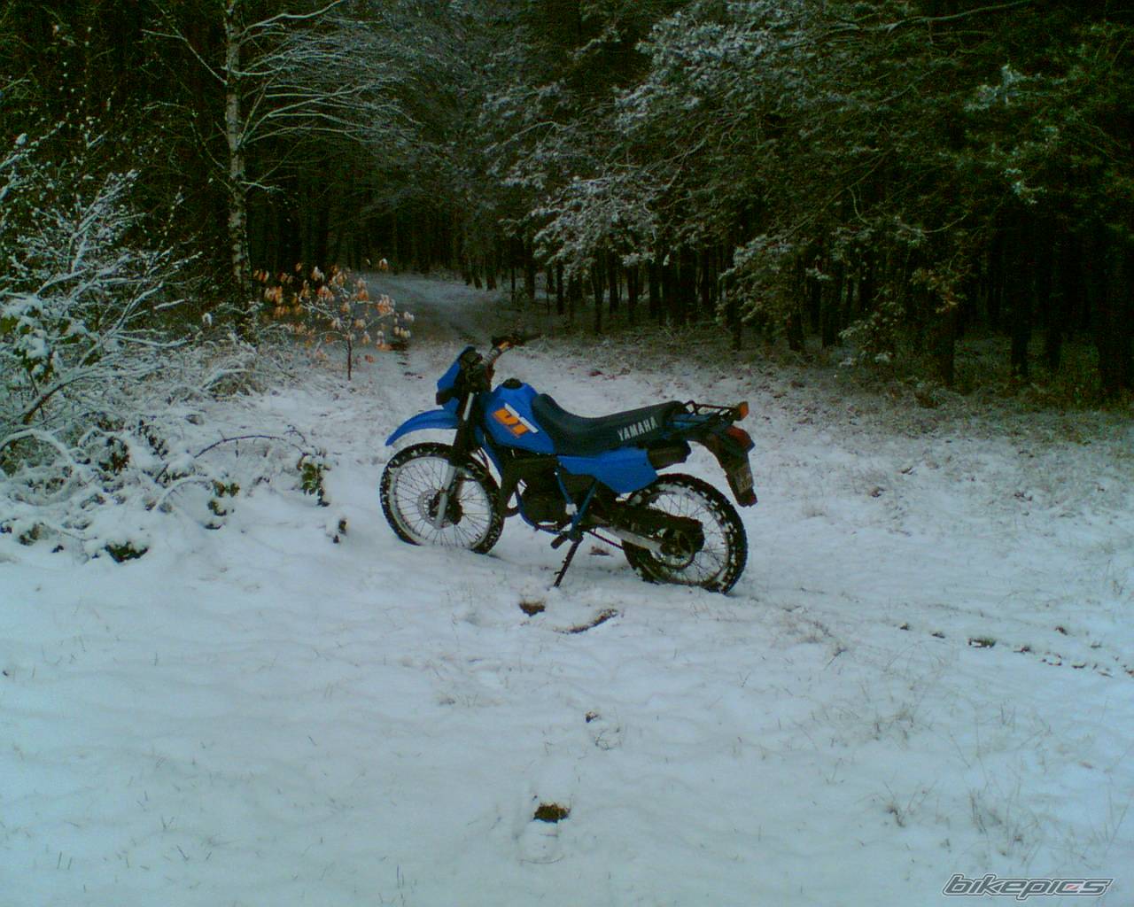 Bike Photo 469408