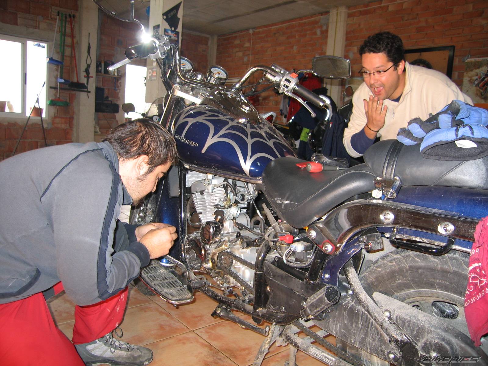 Photo 469448