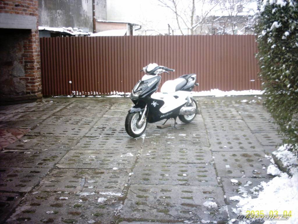 Photo 469510