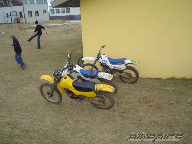 Photo 469541