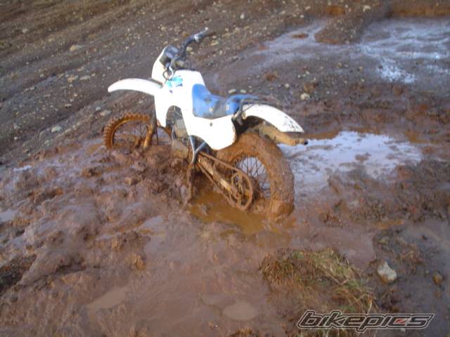 Photo 469555