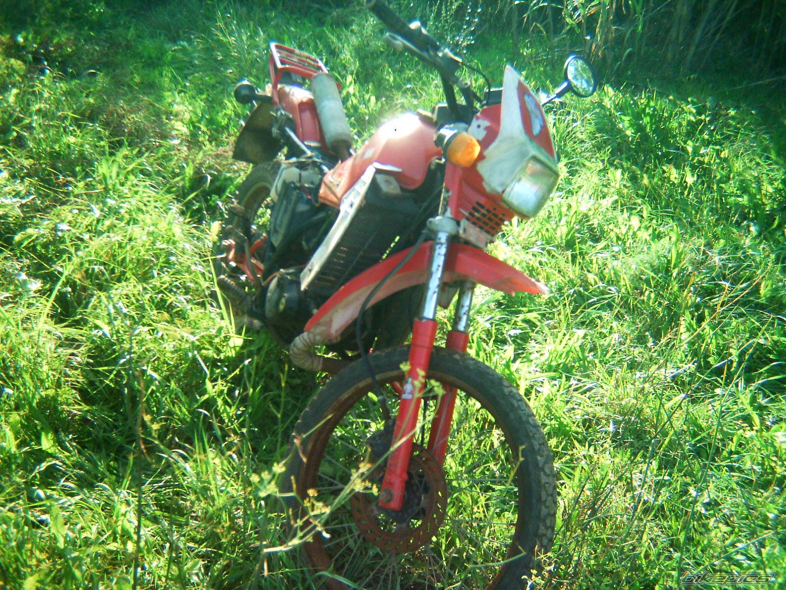 Photo 469569