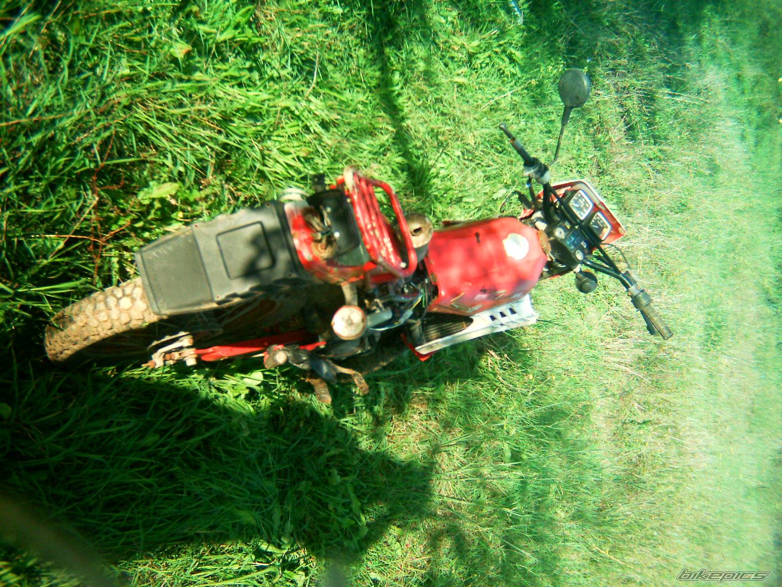 Photo 469572