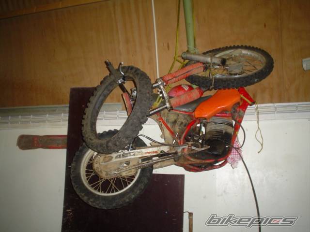 Bike Photo 469580