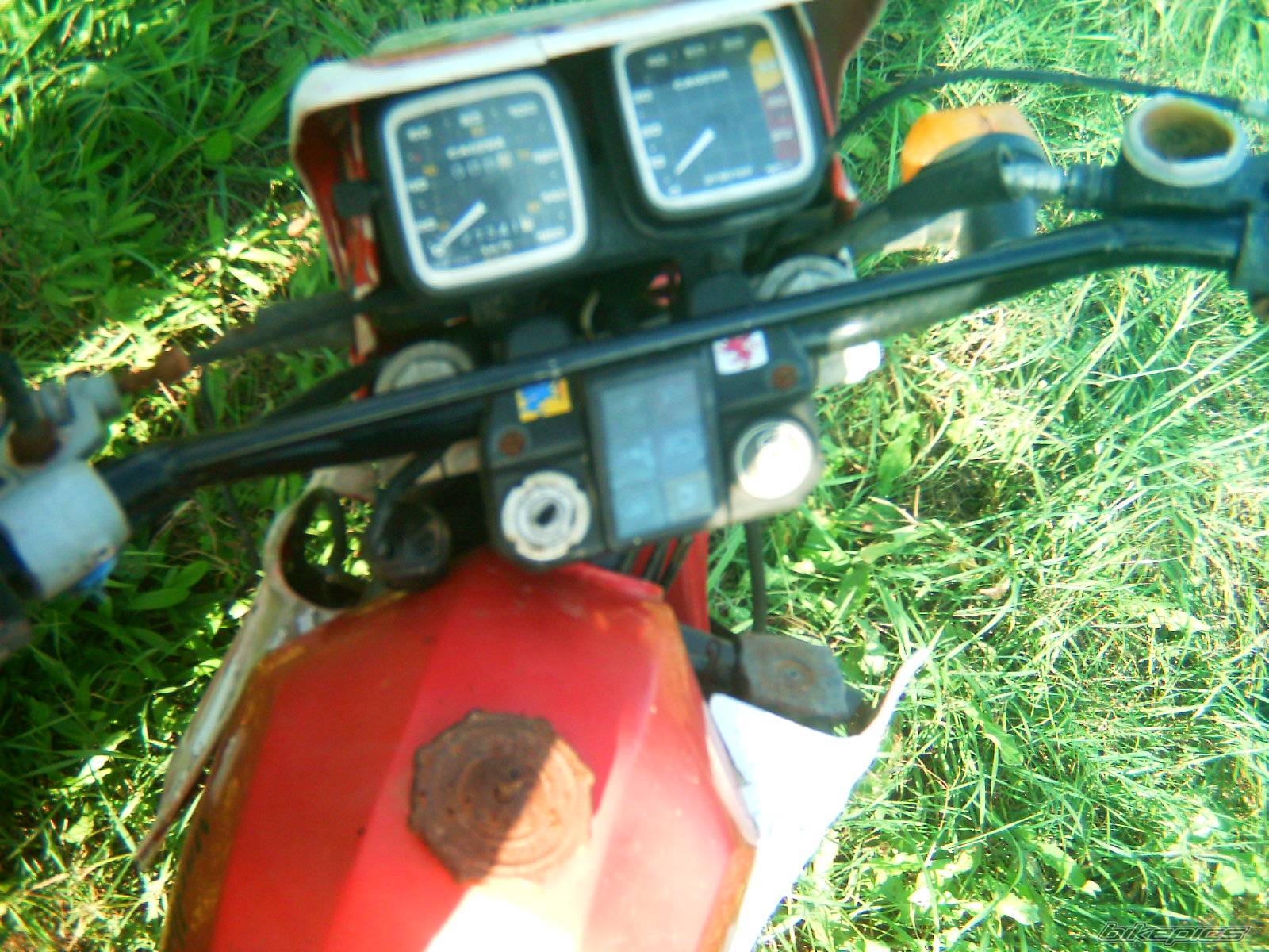Photo 469582