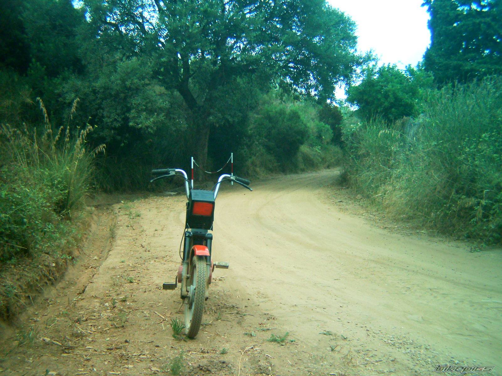 Bike Photo 469595