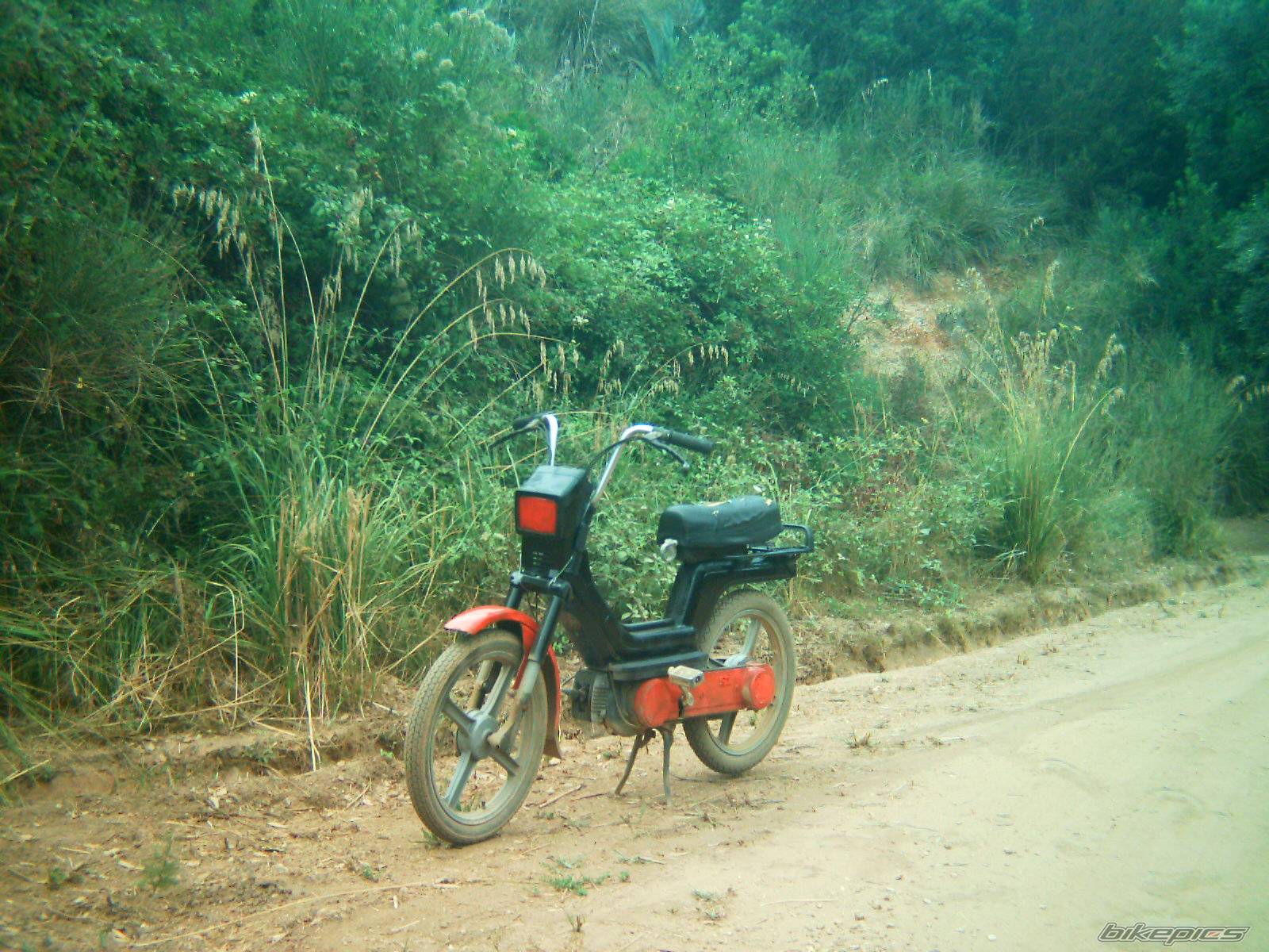 Bike Photo 469596