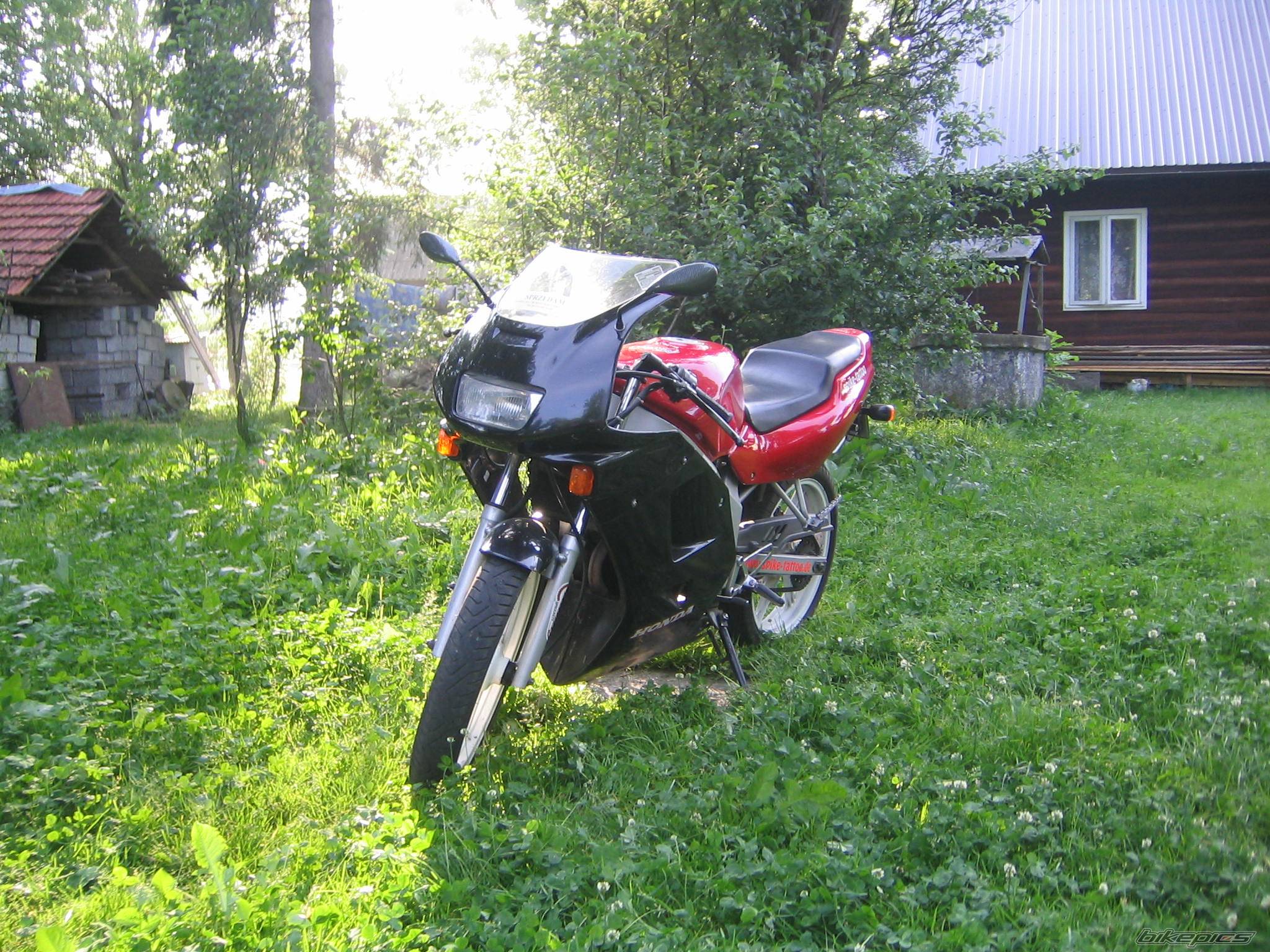 Photo 469613
